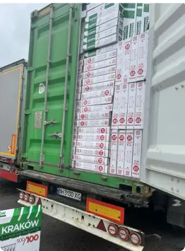 Контейнер із вантажем будматеріалів з Польщі, готовий до розмитнення на митному терміналі